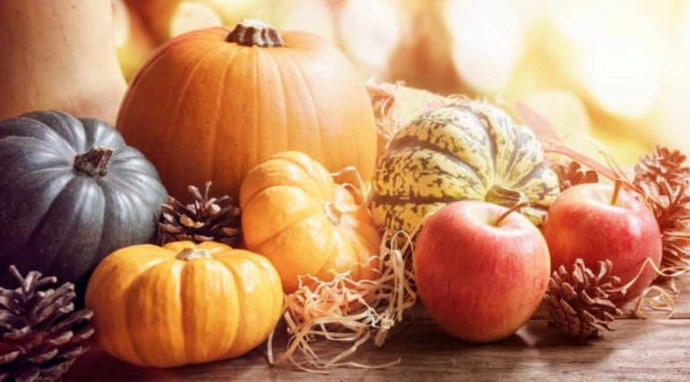 Thanksgiving Pre-Orders